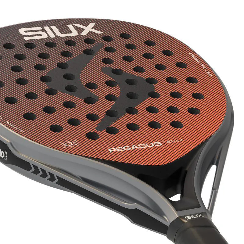 Pala Siux Pegasus Elite 4 2026 - Image 6